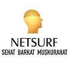 netsurf logo