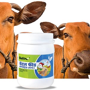 BIOFIT Cattle Feed Concentrate(280G)
